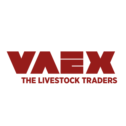 vaex logo 3